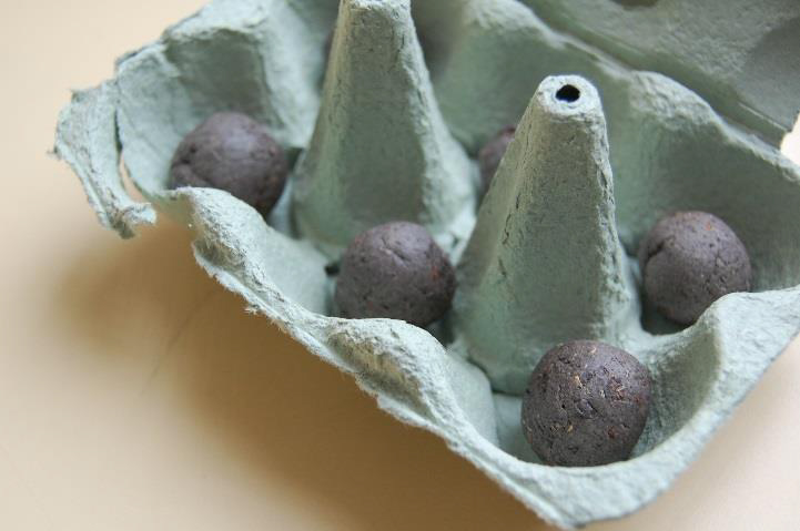 photo of seed bombs in a cardboard egg box