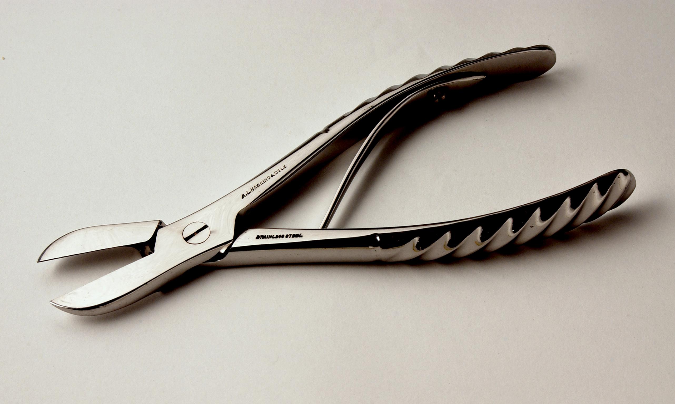 Surgical snips