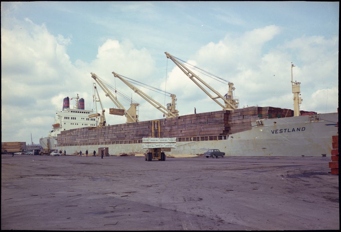 M.V. VESTLAND, negative