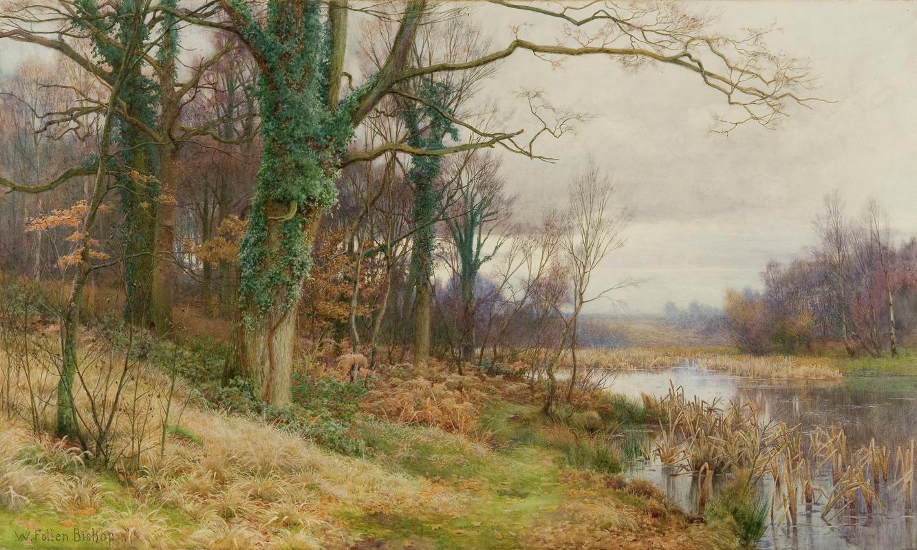 Where Oak and Birch Tree Grow