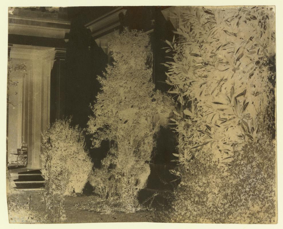Penllergare, garden, negative