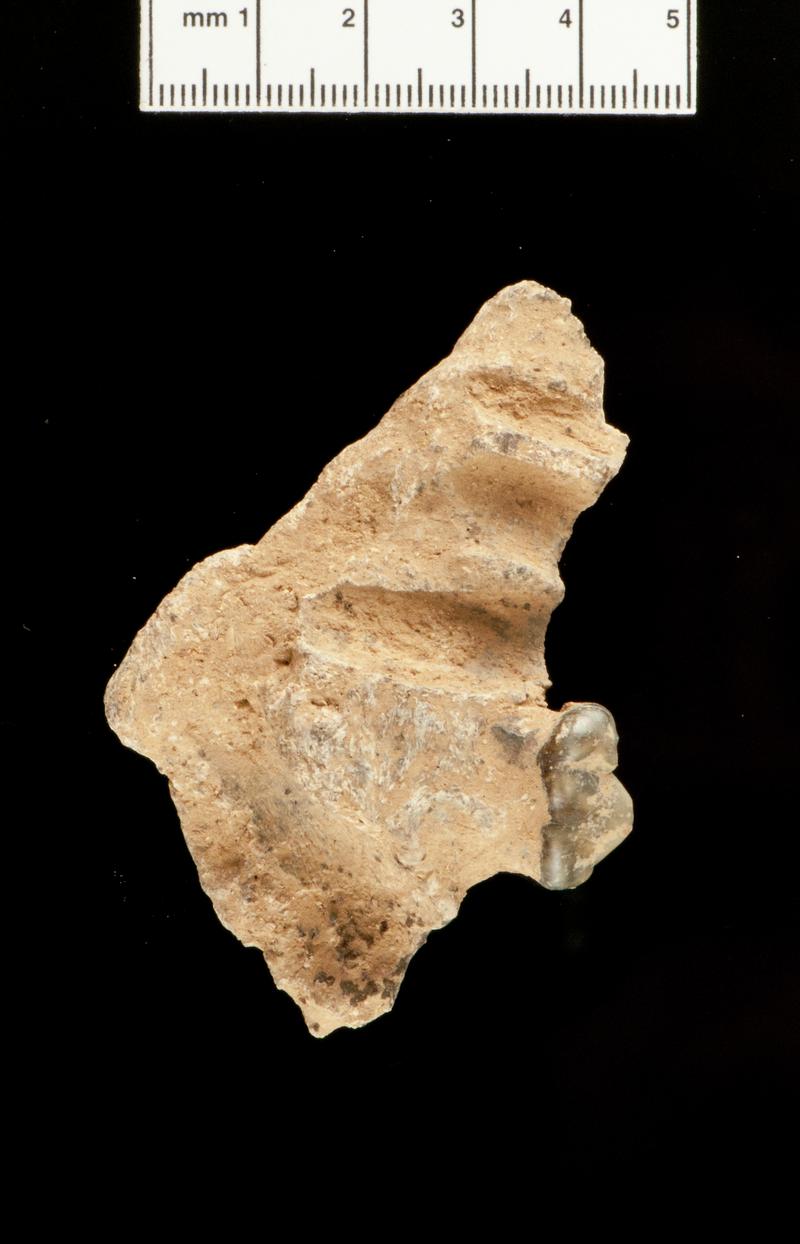 Hyaena mandible with premolar . Daylight Rock Fissure