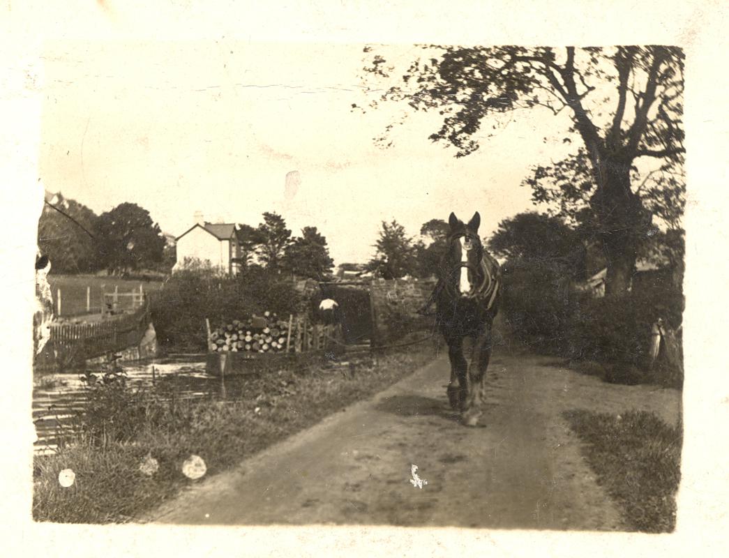 Swansea Canal, photograph