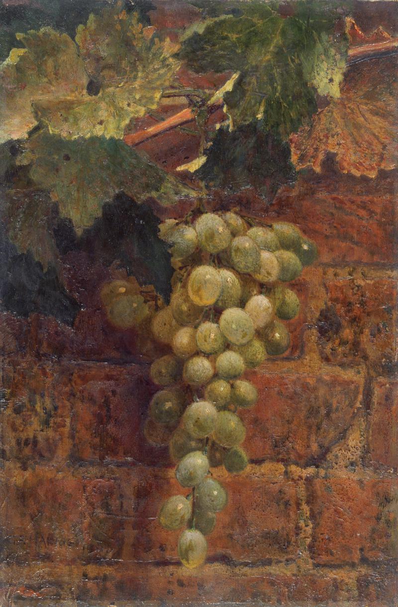 Grapes
