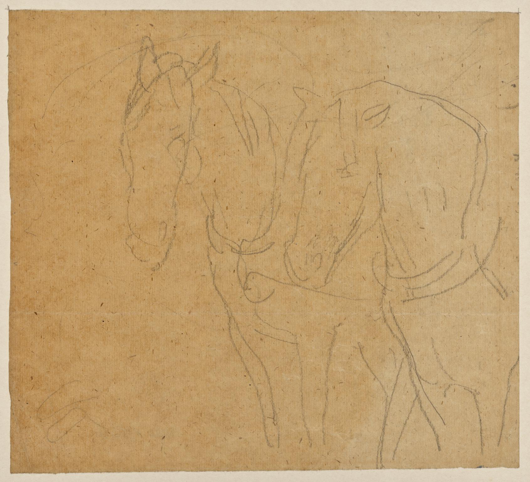 Horses in harness