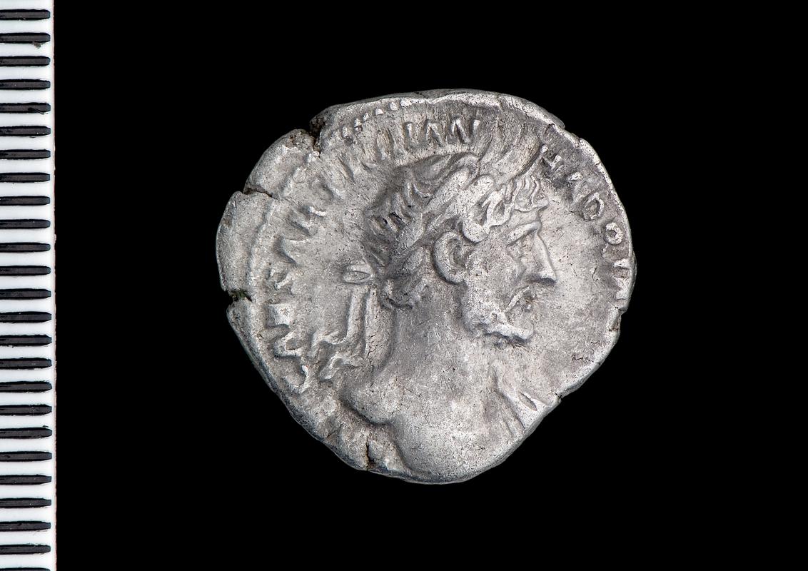 silver denarius (obv.)