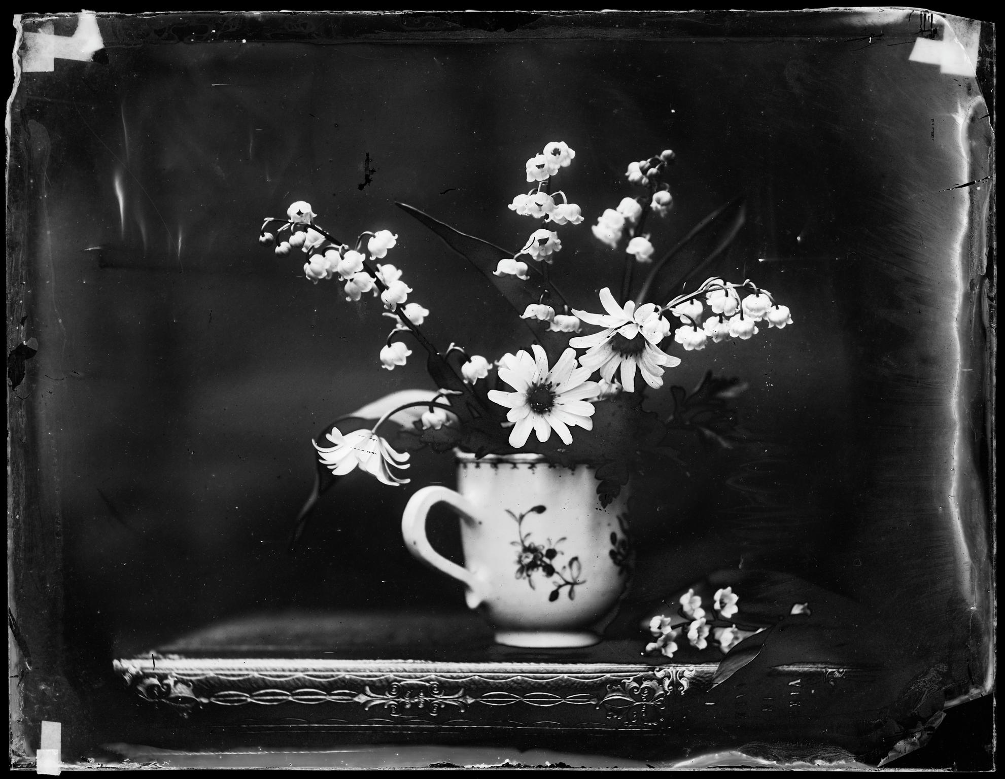 Flowers in cup, glass negative