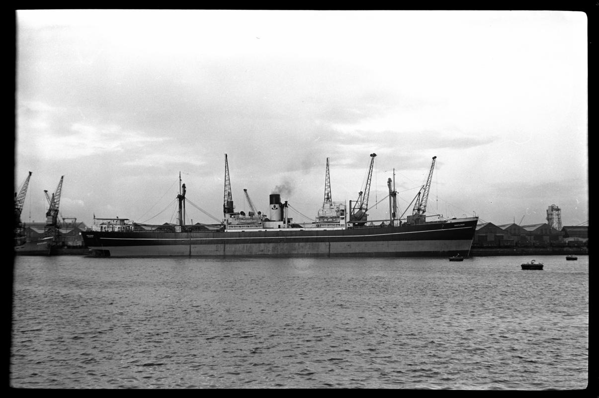 S.S. THISTLEMUIR, negative