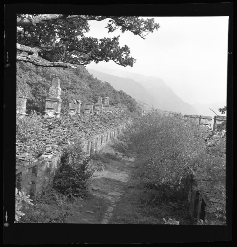 Dinorwic Quarry, film negative