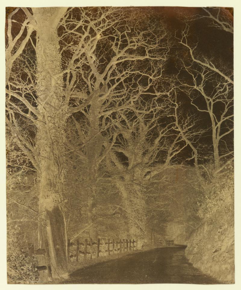 Penllergare, drive, negative