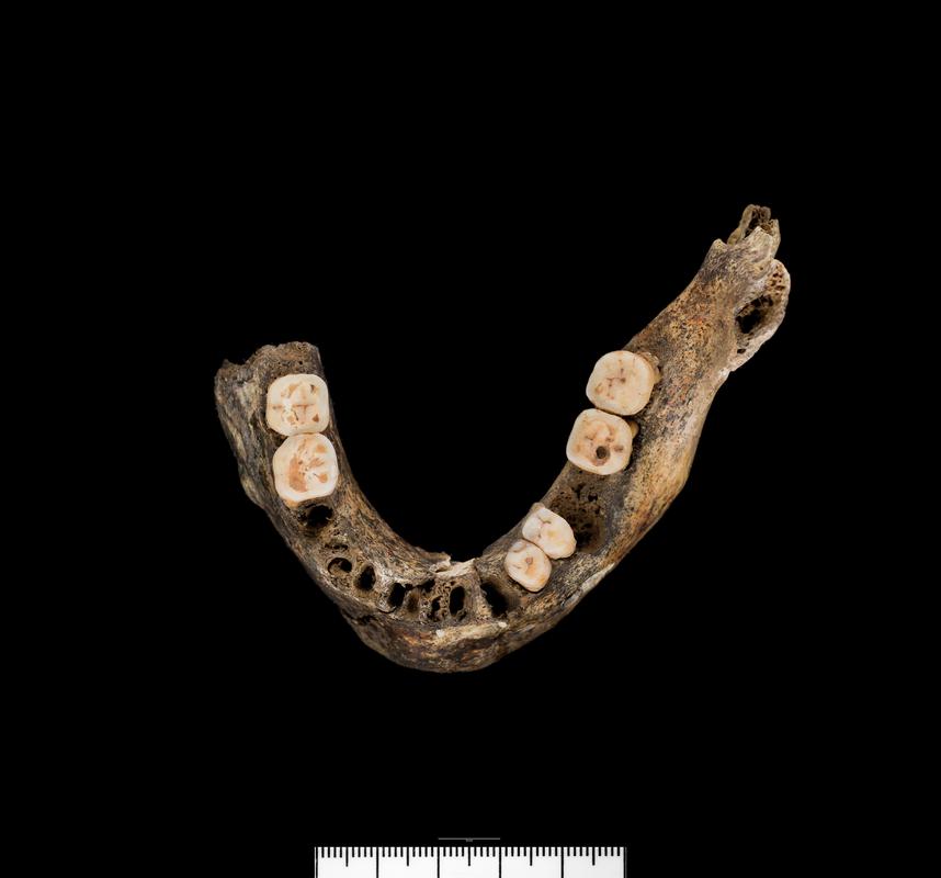 Late Bronze Age human remains