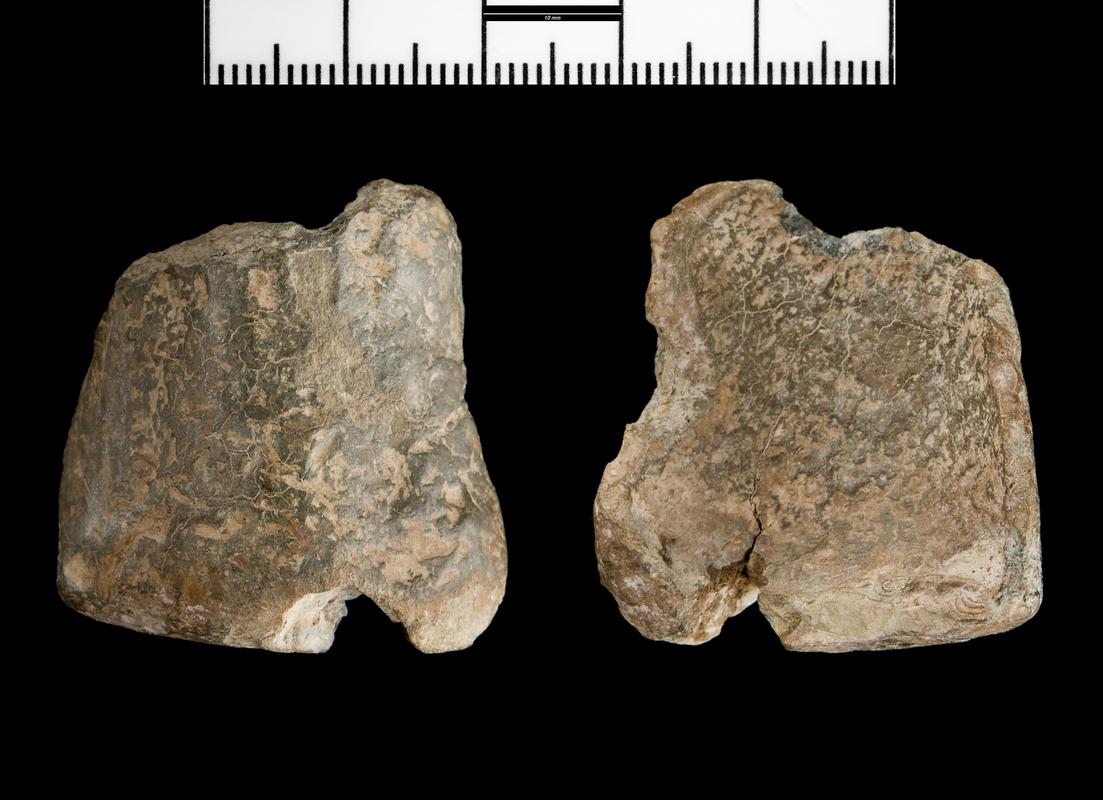 worked artefact fragment