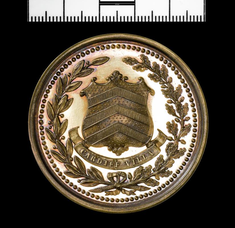 Photographic Survey of Glamorganshire medal