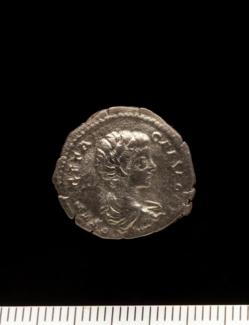 Sully Hoard I (1899) Denarius Geta