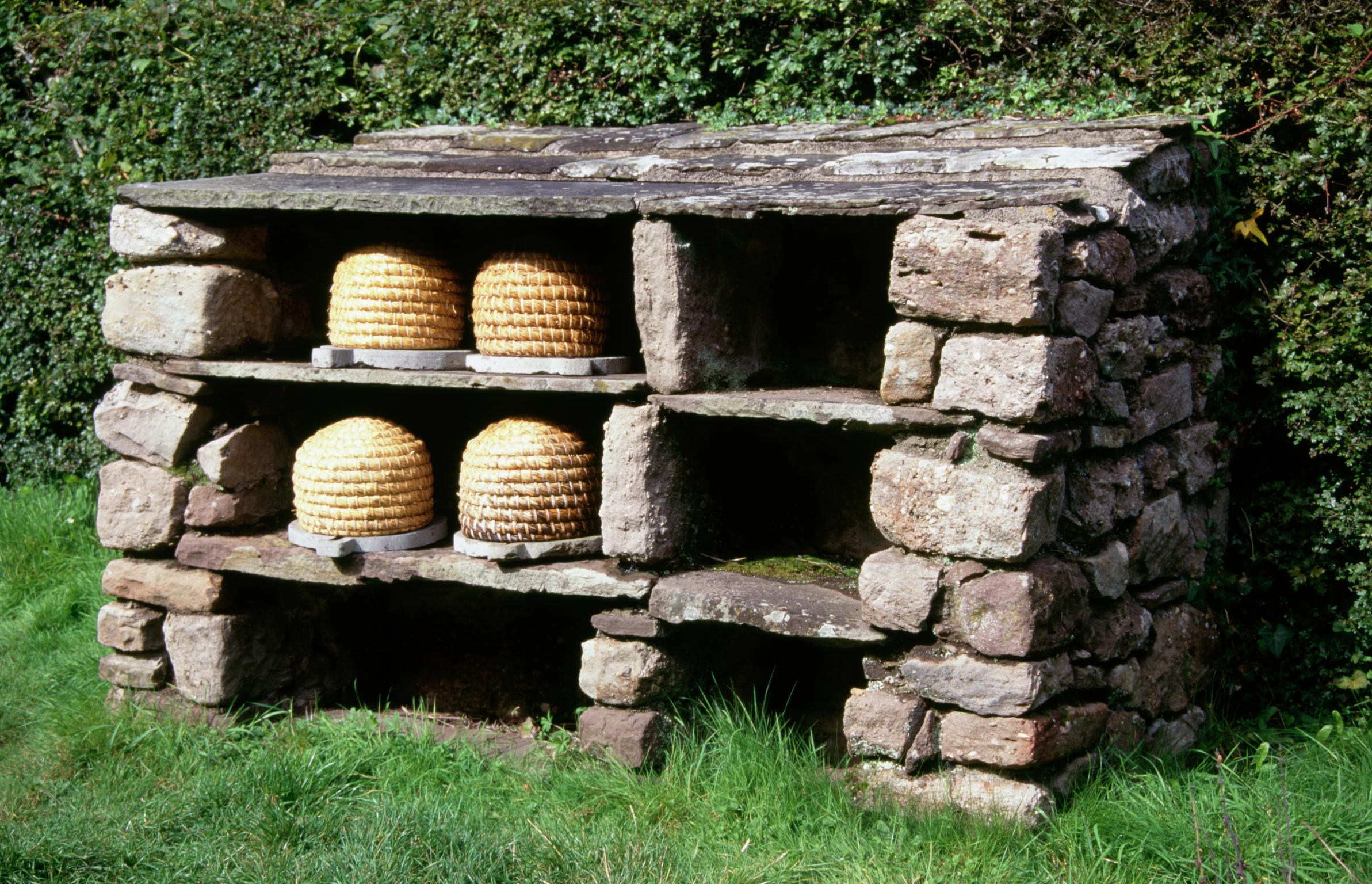 Bee shelter