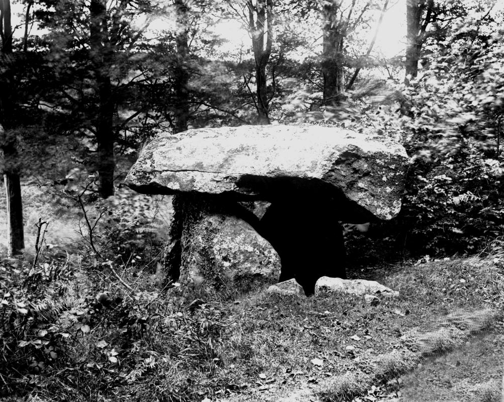 Glass plate negative; chambered tomb