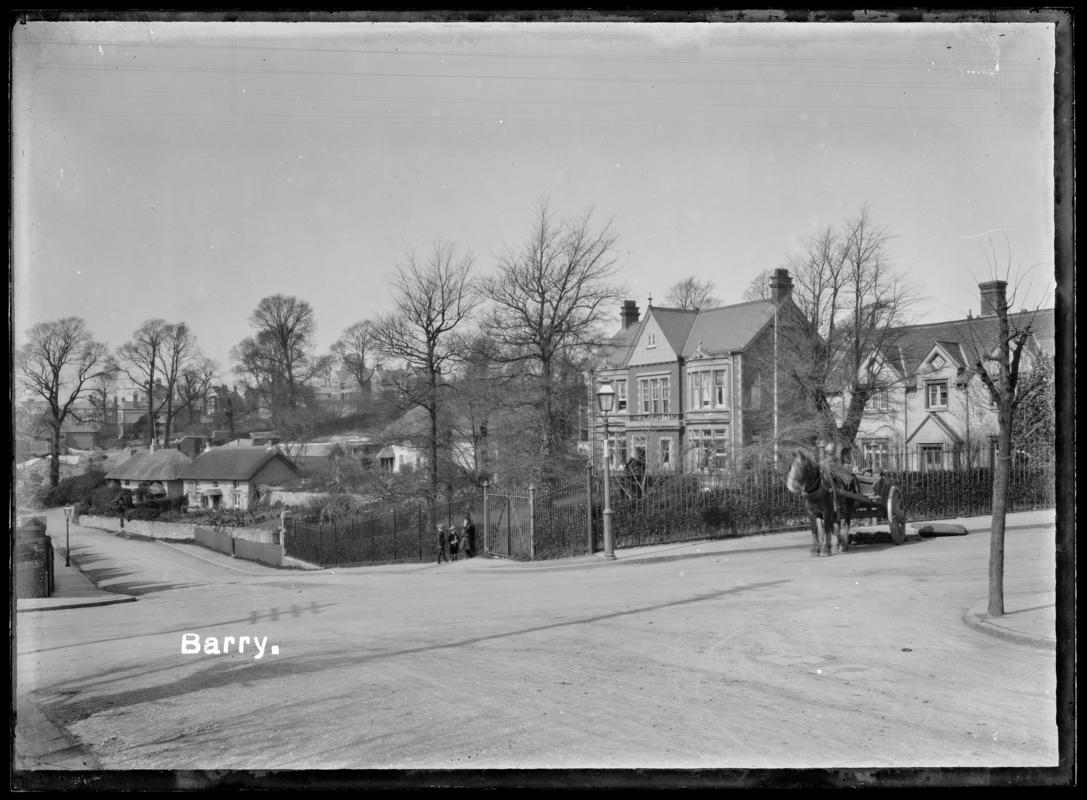 Barry, Glass Plate Negative - (Positive inversion copy)