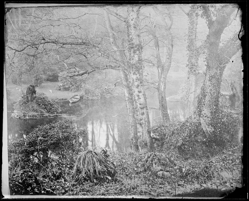 Looking Down on the Upper Lake (glass negative)
