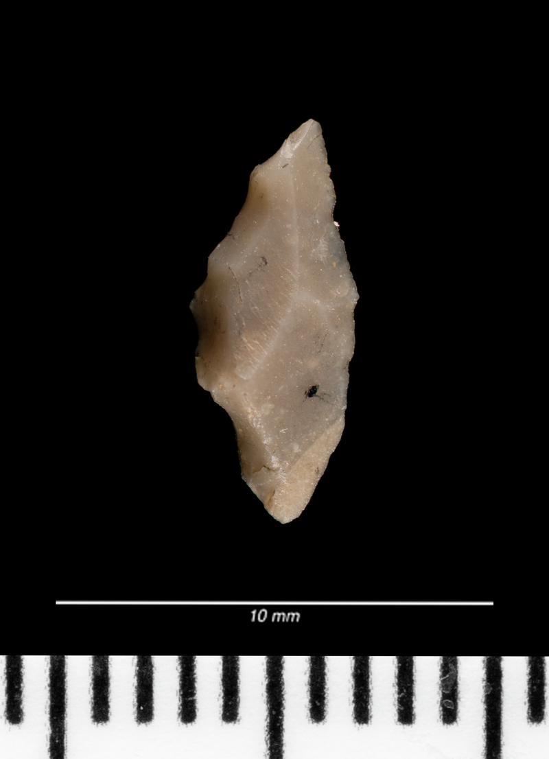 Mesolithic flint microlith