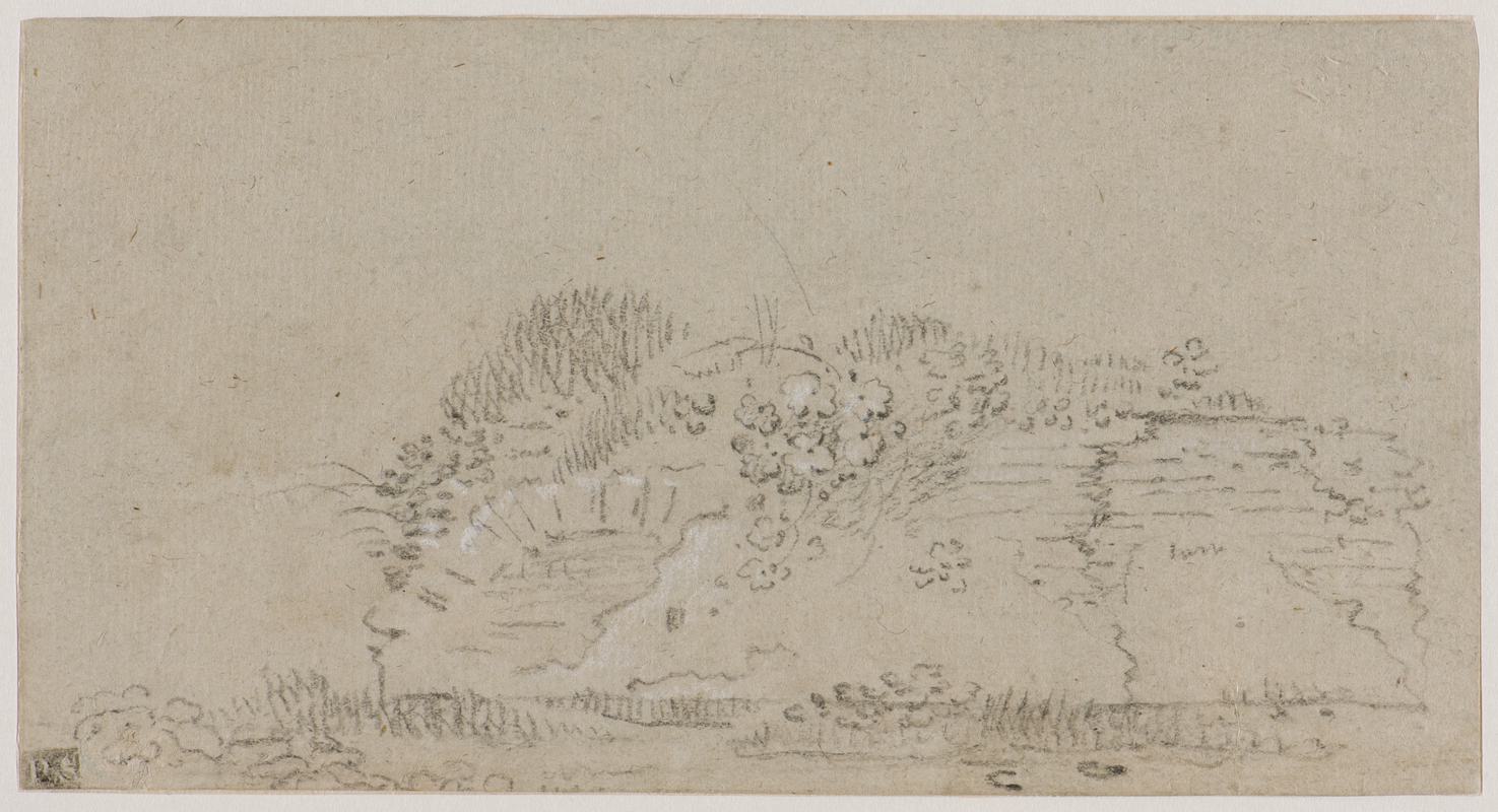 A wall overgrown with plants