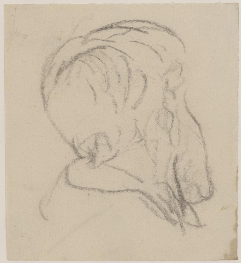 Study of right side of man's head