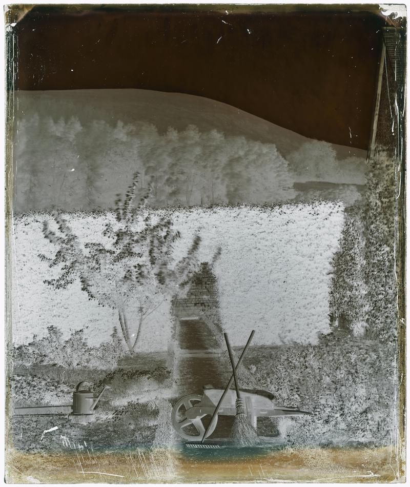 Garden at Lanelay, negative