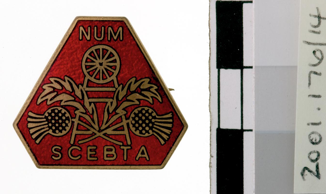 NUM "SCEBTA" Badge