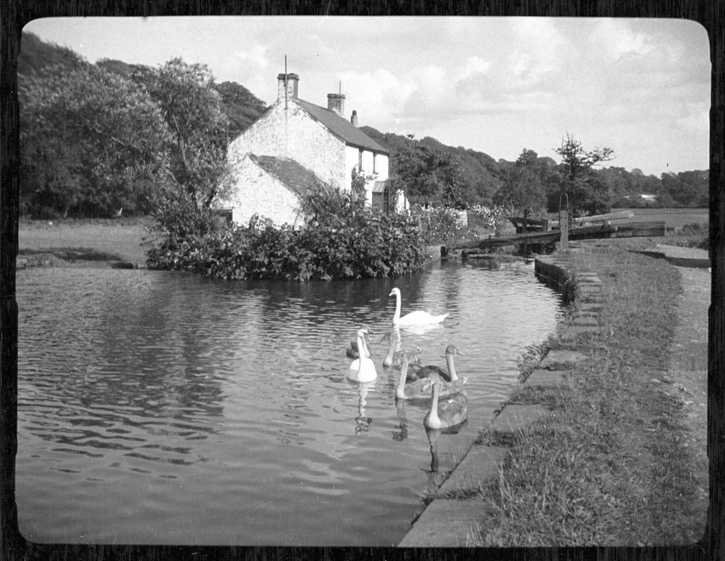 Glamorganshire Canal, negative