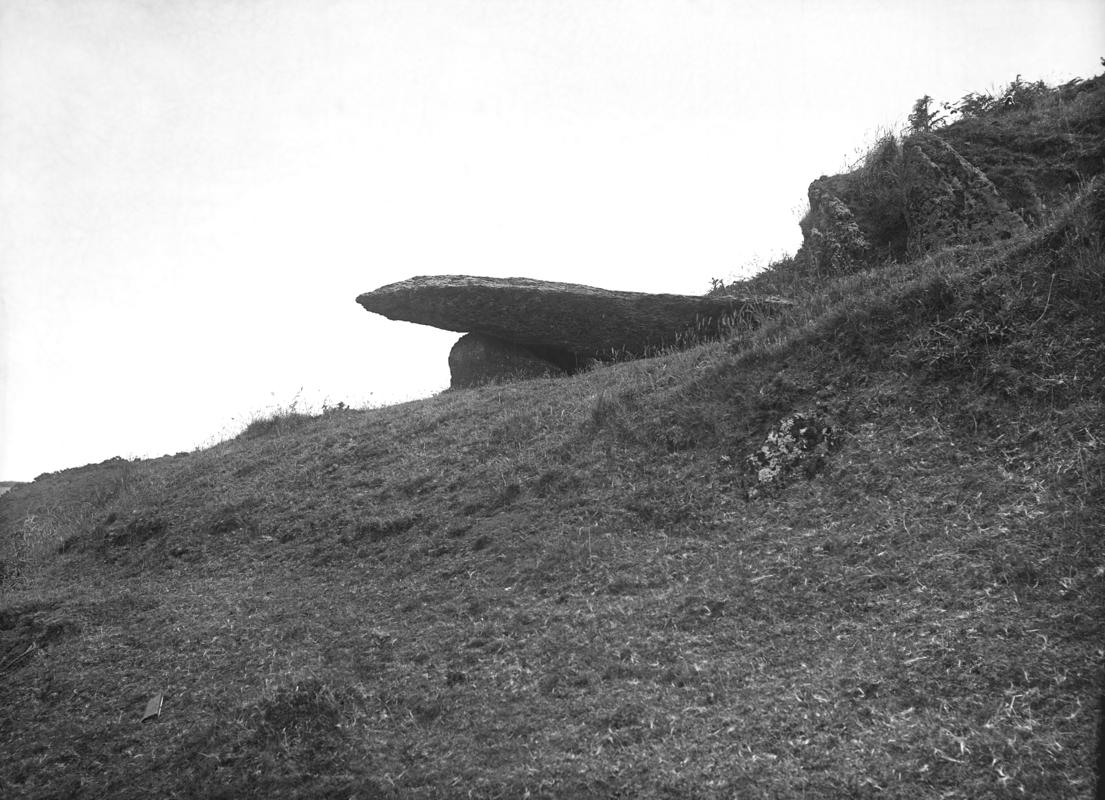 Photographic Negative