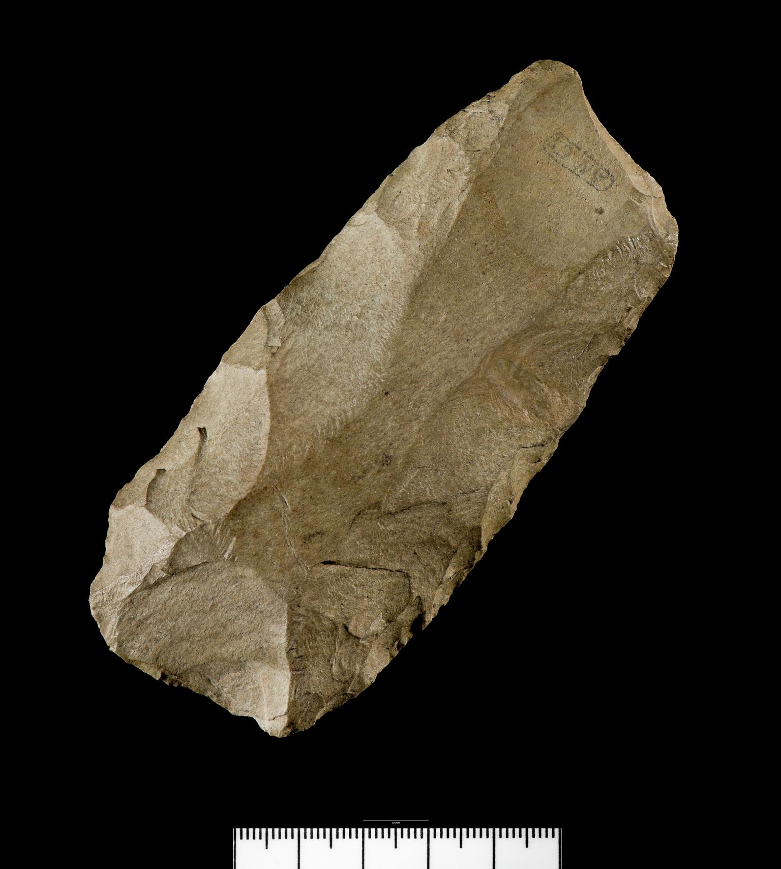 Early Mesolithic stone adze