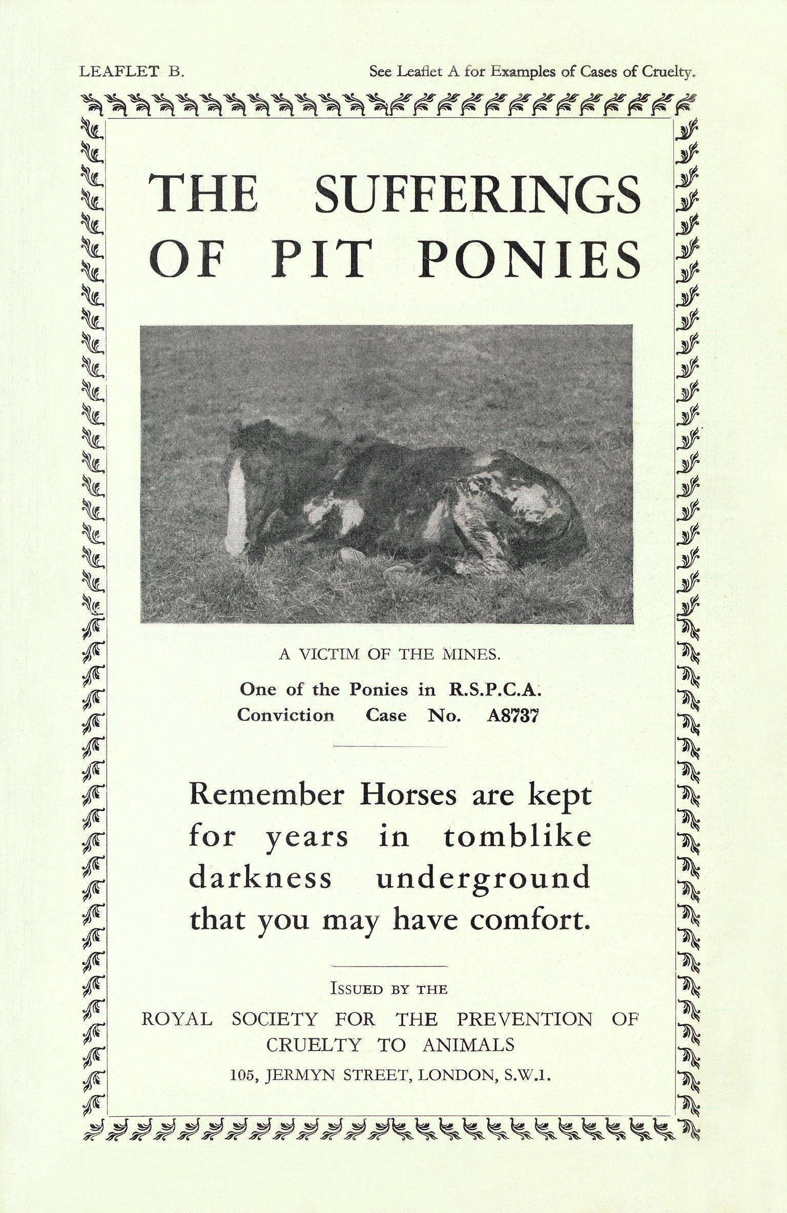 The Sufferings of Pit Ponies (booklet)