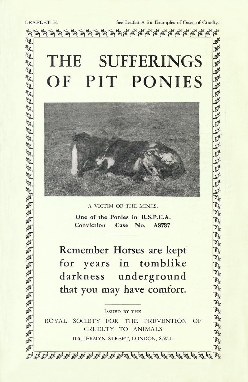Front Covering of  "The Sufferings of Pit Ponies"