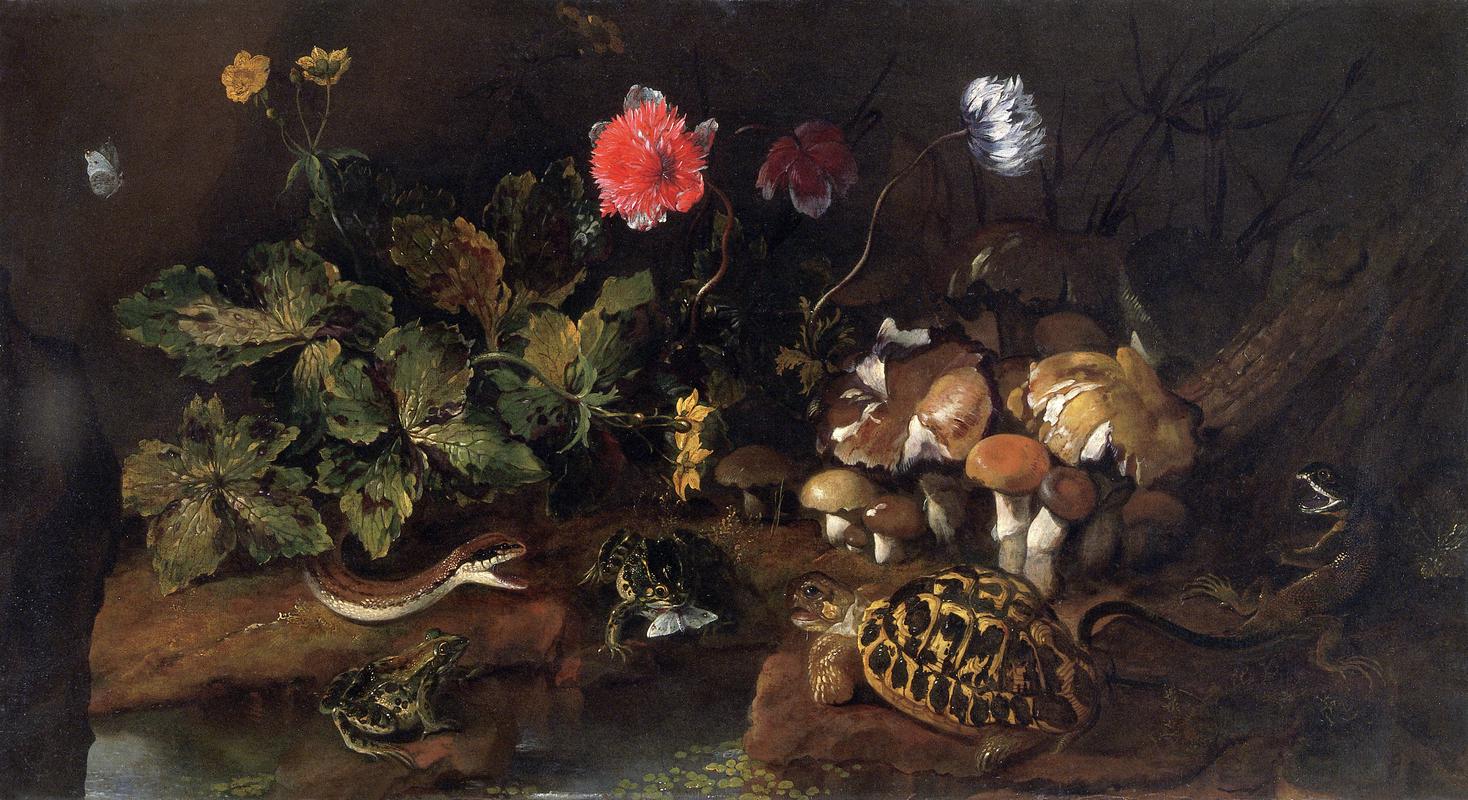 Still life with a snake, frogs, tortoise and
