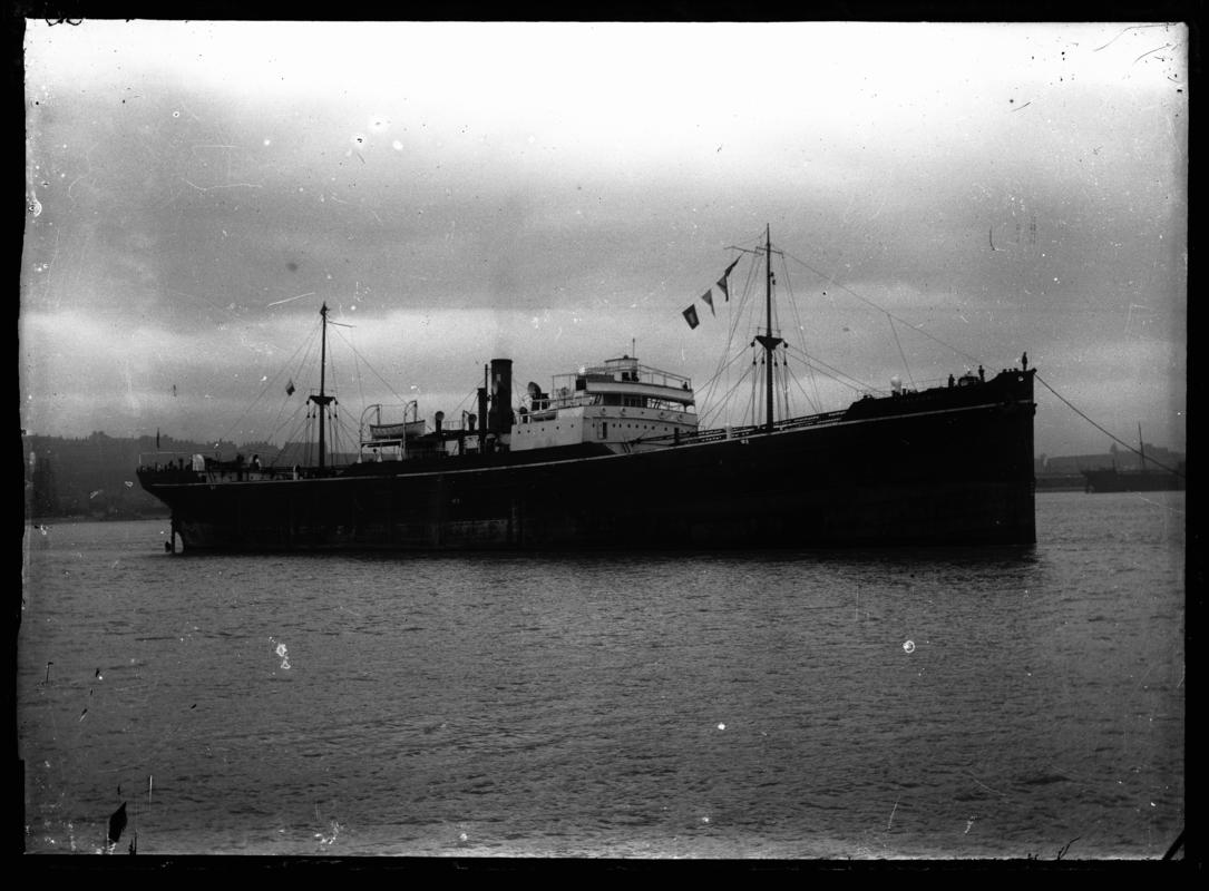 S.S. TREFUSIS, glass negative