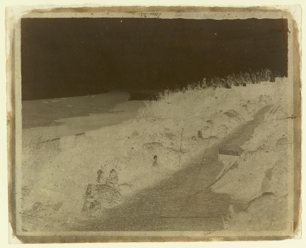 Abbotsbury, the fleet from the terrace, negative