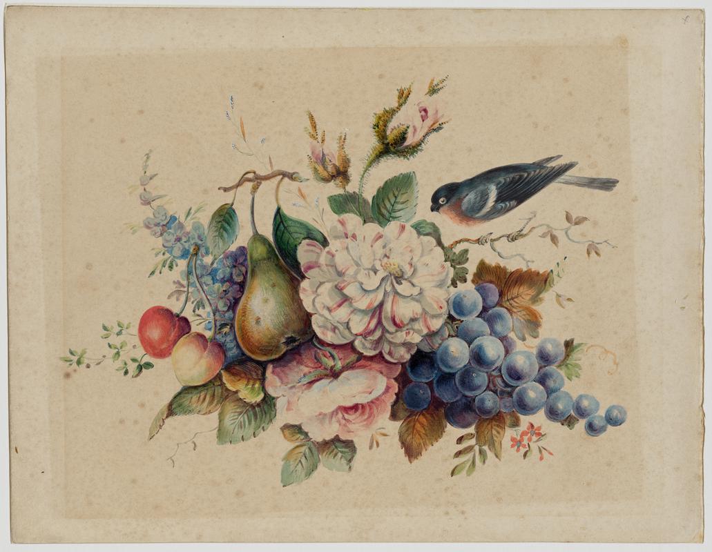 Flower Study, Bullfinch, Pear and Cherries
