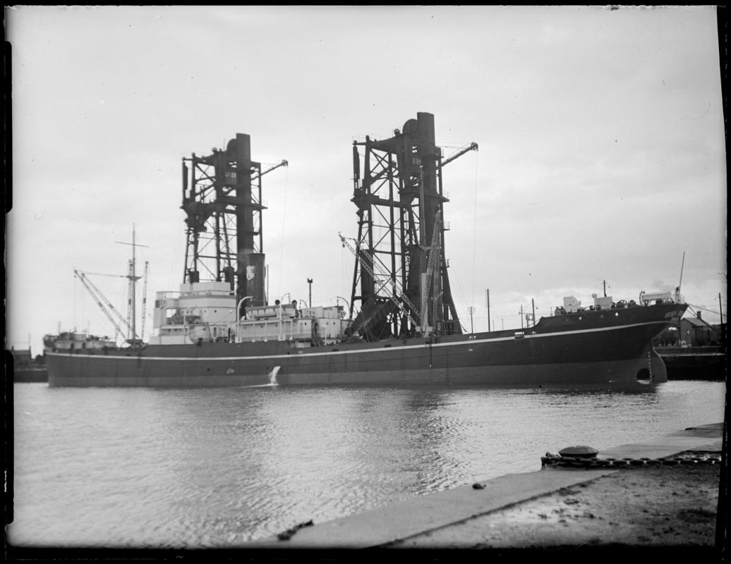 S.S. IRISH SPRUCE, glass negative