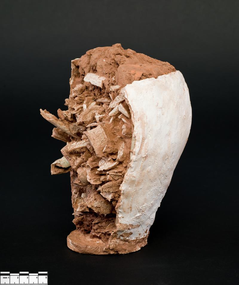 Roman cremated human remains