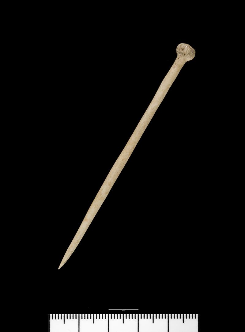 Roman bone pin