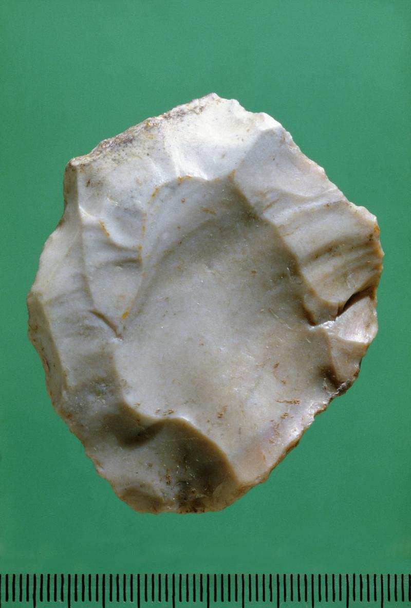 Flint Levallois core . Pontnewydd Cave