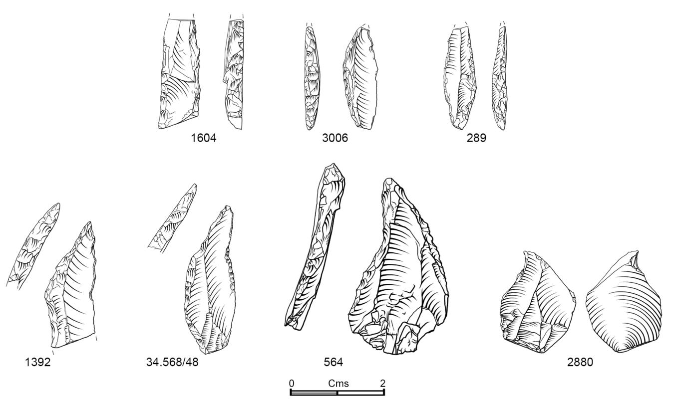 Illustration: Burry Holms later Mesolithic microliths, bec and microburin.