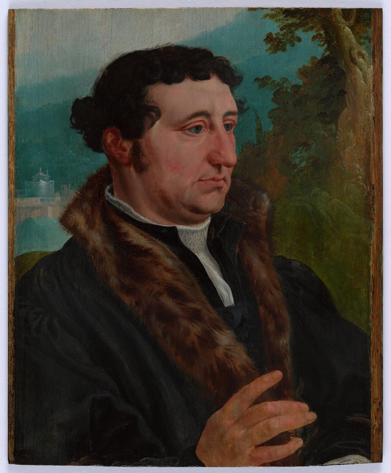 Oil painting on wooden panel, Portrait of a Man, c.1540