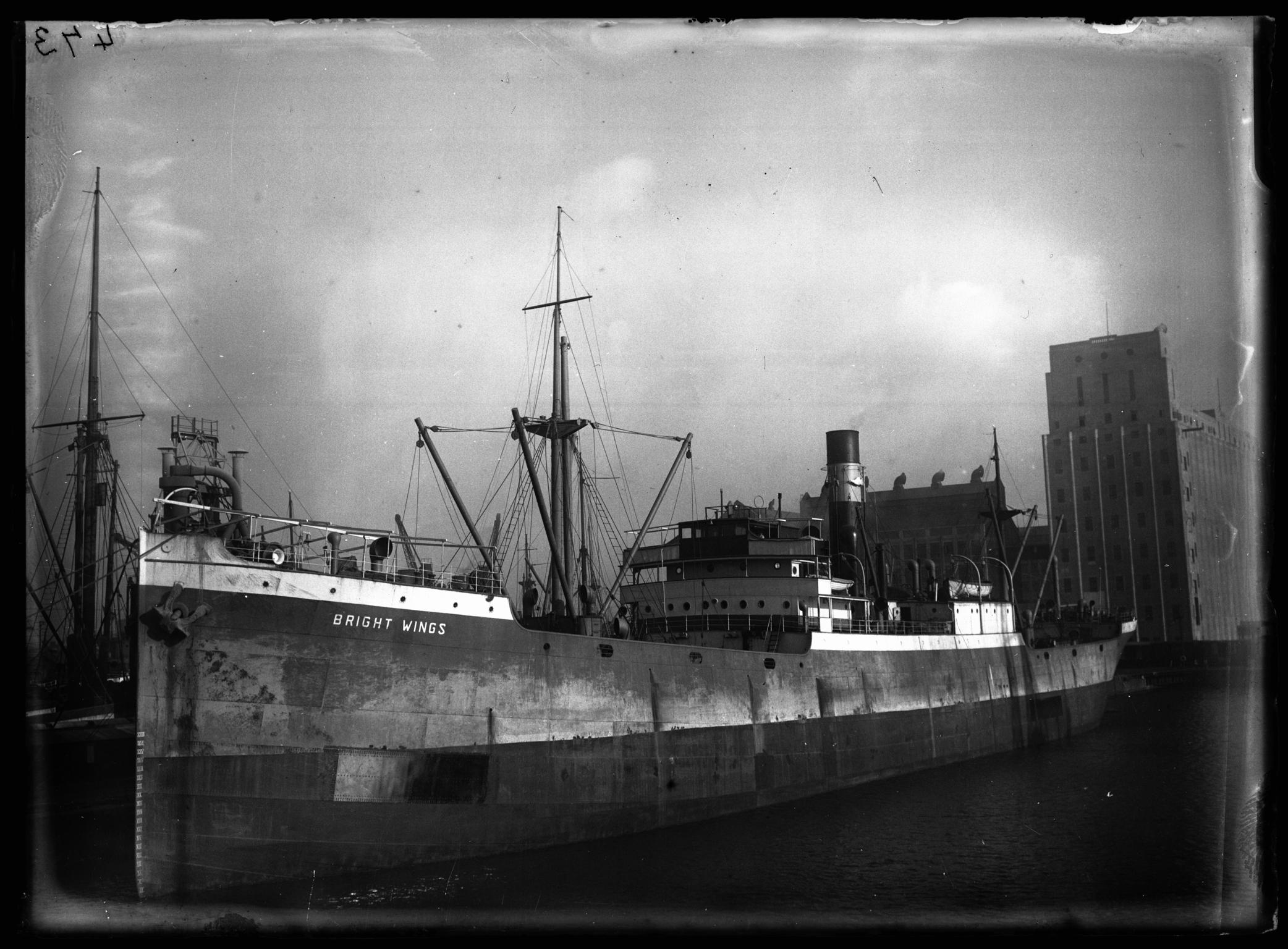 S.S. BRIGHTWINGS, glass negative