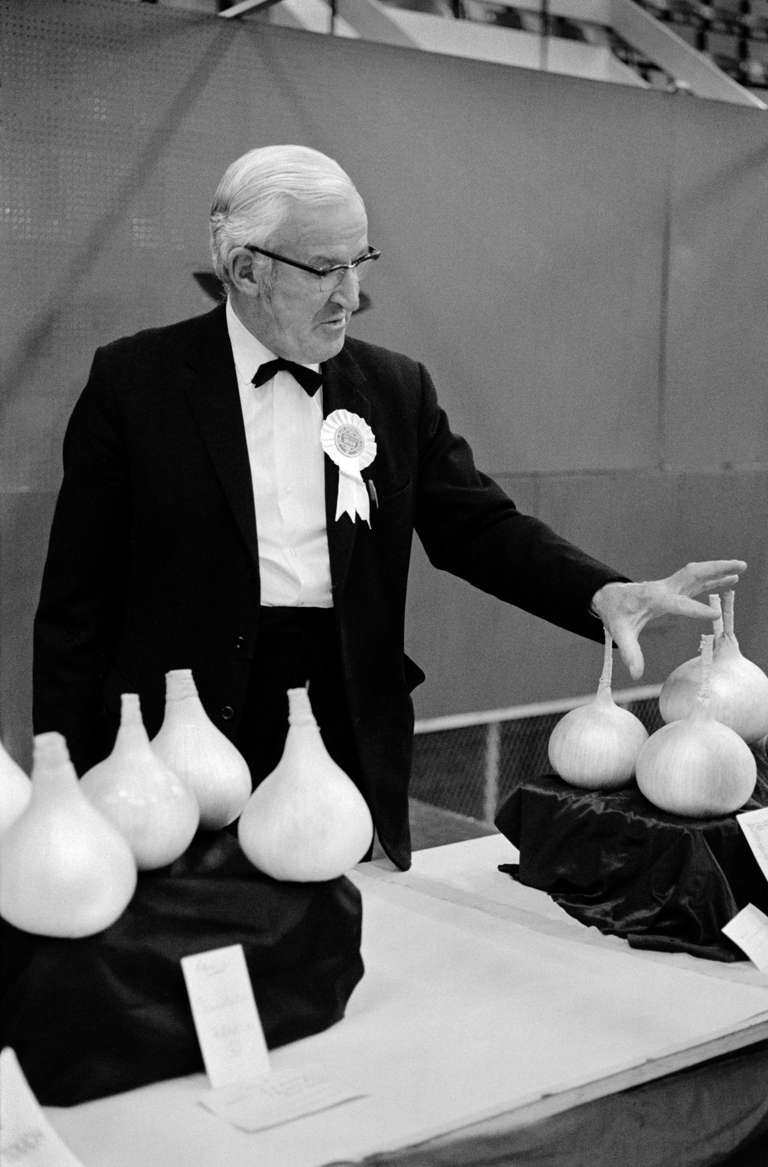 Judging the Onion section at the Welsh Leek and Onion Championship at the Avon Lido. Aberavon, Wales
