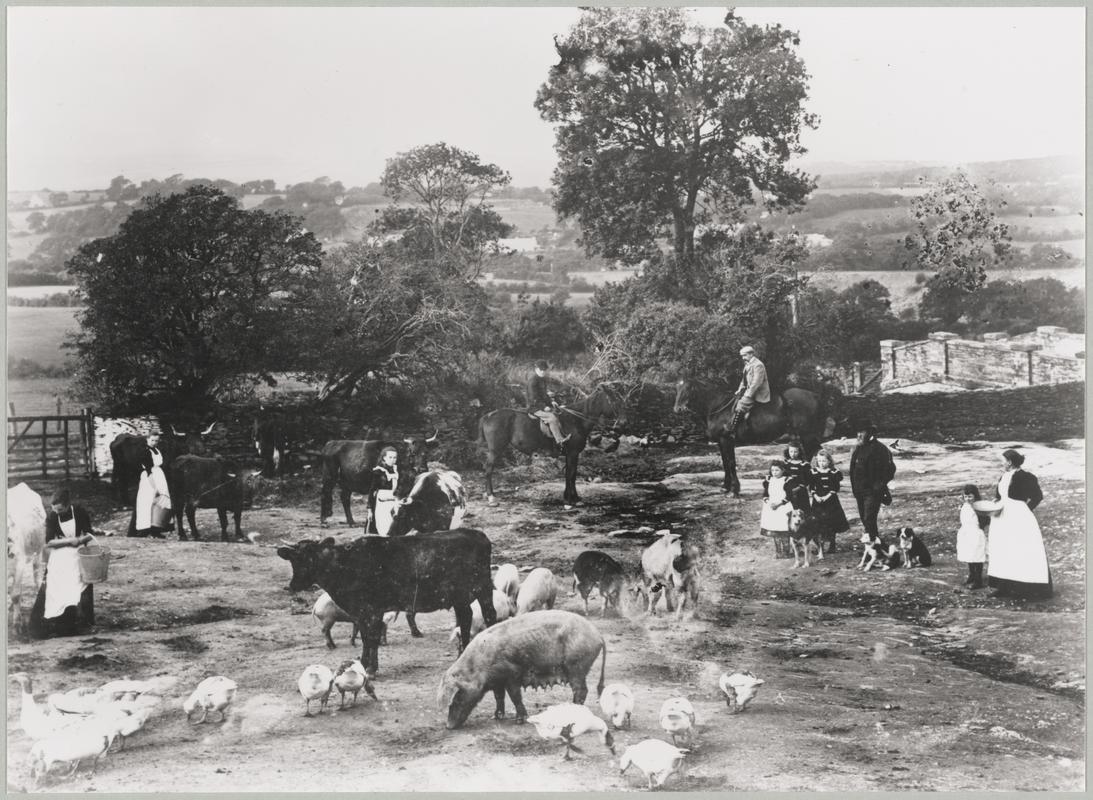 Photograph (print)