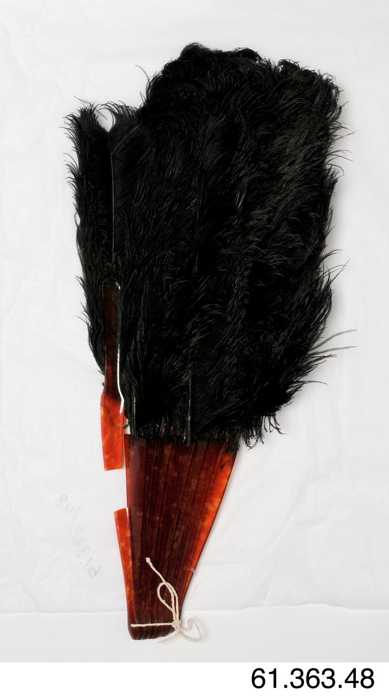 Black ostrich feather and mock-tortoiseshell sticks & guards