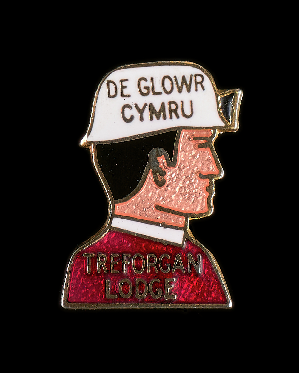 Treforgan Lodge, badge