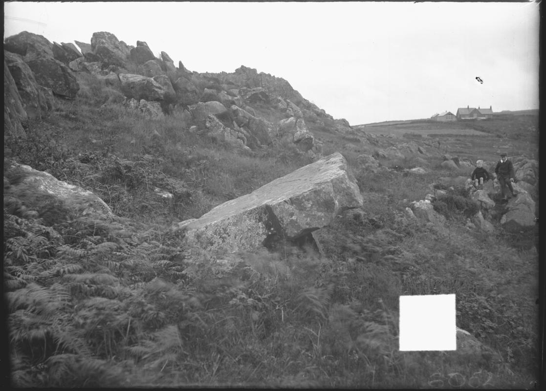 Photographic Negative