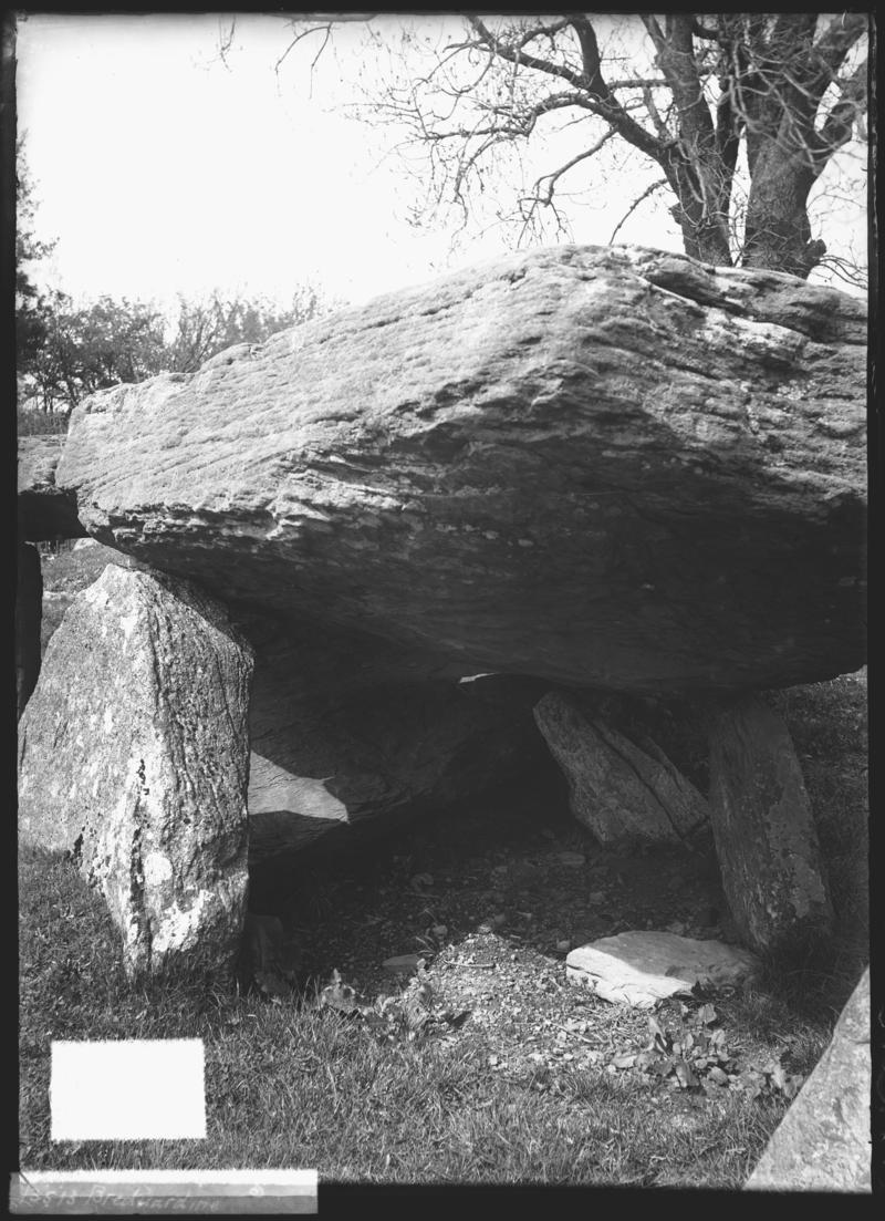 Photographic Negative