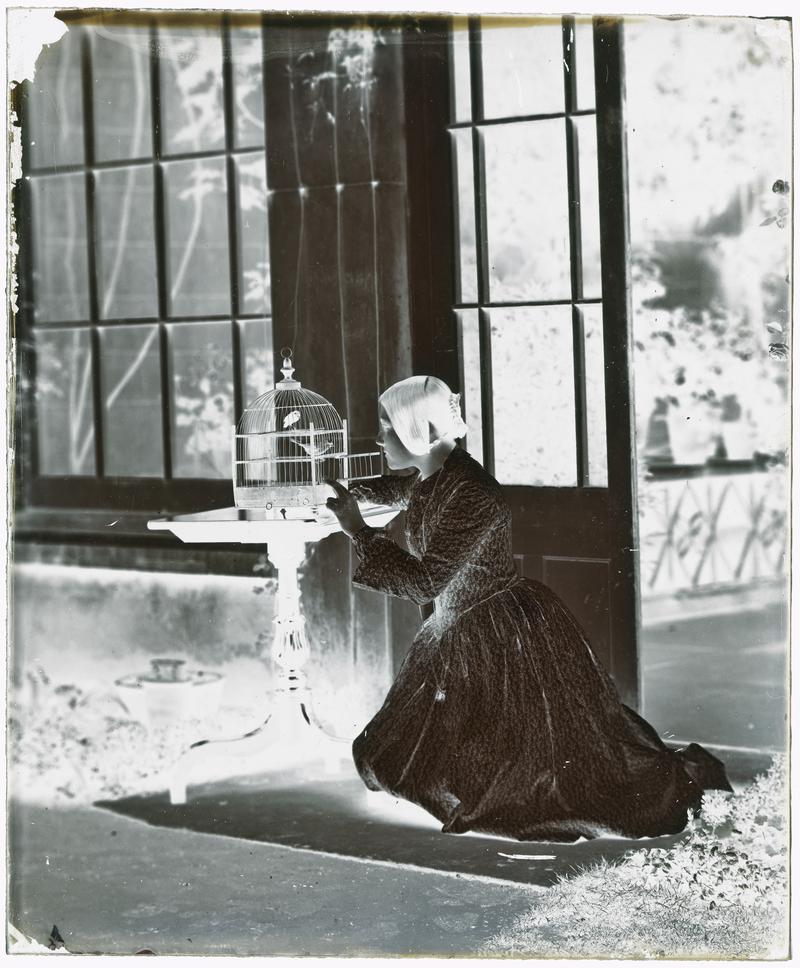 Thereza with birds in a cage, negative